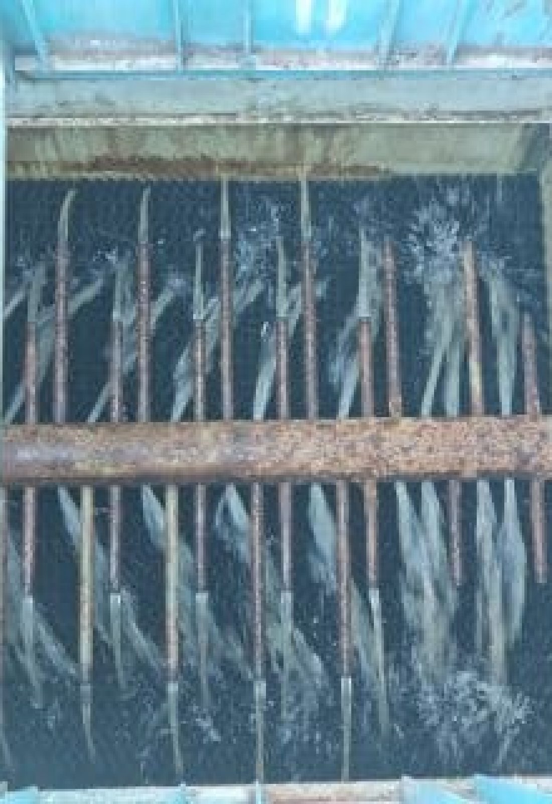 image-240x320-2