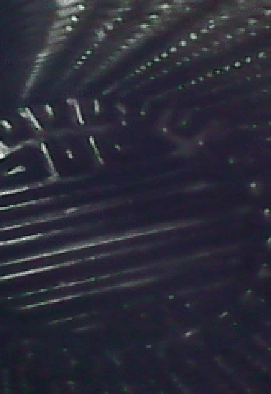 image-470x240
